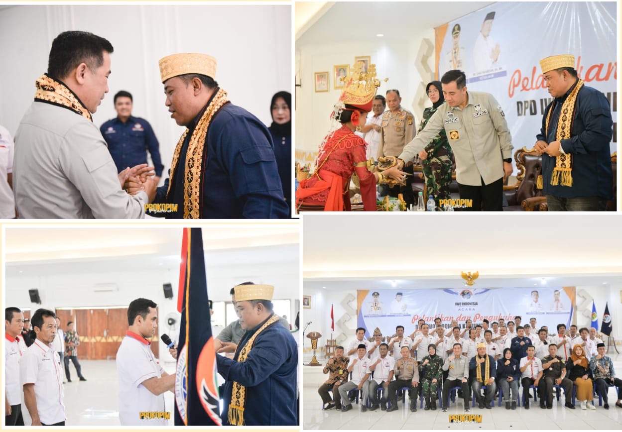 66fee429-ef86-46ad-b03d-d2b548dc05de-1.jpg